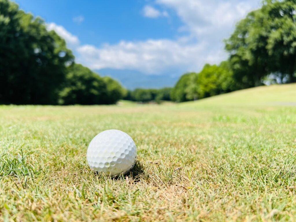 ゴルフボールの画像